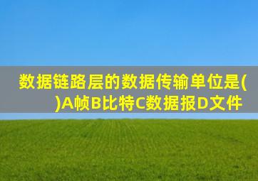 数据链路层的数据传输单位是( )A帧B比特C数据报D文件